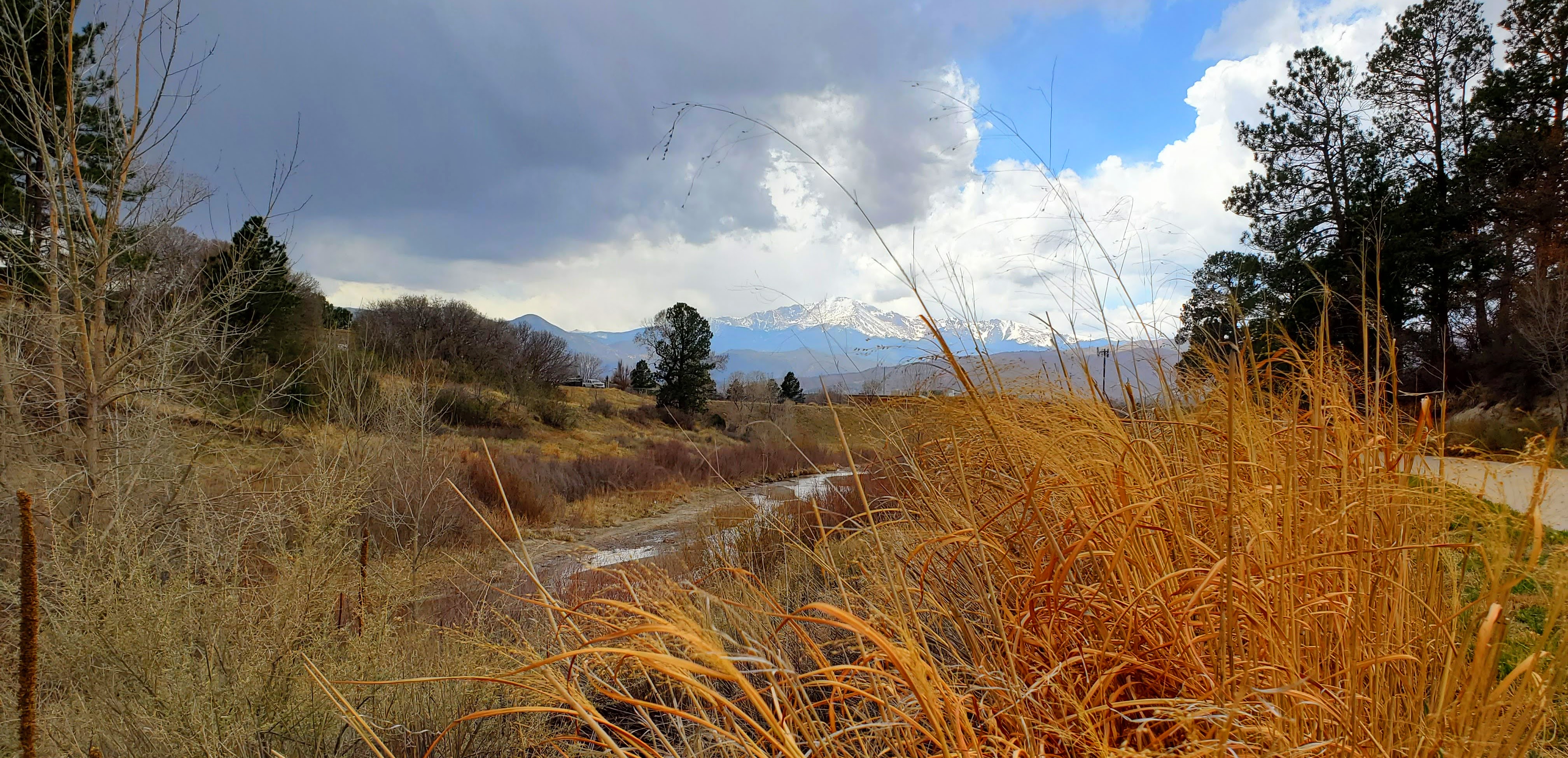 Image of Pikes Peak with snow in the background and golden native grass next to cottonwood creek in the foreground.